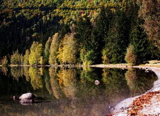 Cautam tovarasi de drum pentru Lacul Sf. Ana