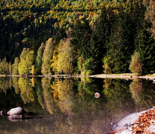 Cautam tovarasi de drum pentru Lacul Sf. Ana