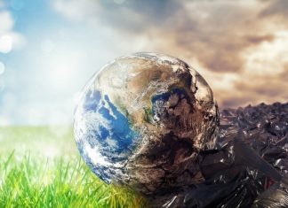 De ce 2021 ar putea fi punctul decisiv pentru combaterea schimbarilor climatice