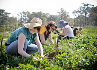 Daca va ganditi la o cariera in domeniul agricol, iata cateva sfaturi