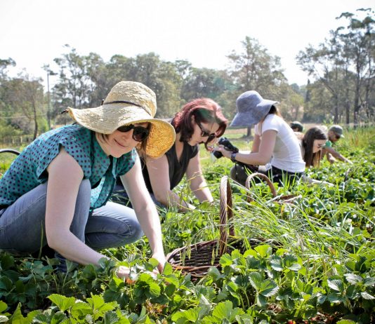 Daca va ganditi la o cariera in domeniul agricol, iata cateva sfaturi