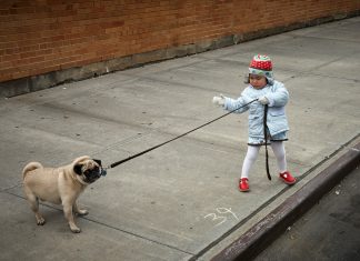 235 Citate Amuzante Care iti Vor Transforma Viata