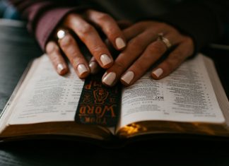 389 Citate Celebre Citate scurte