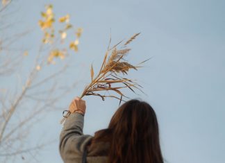 121 Citate Despre Incredere care sa te inspire in fiecare zi