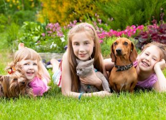 5 animale de companie pentru copii daca locuiti in mediul rural