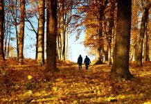 Autumn blues, cum sa depasesti tristetea tipica de toamna?