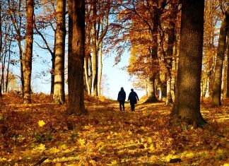 Autumn blues, cum sa depasesti tristetea tipica de toamna?