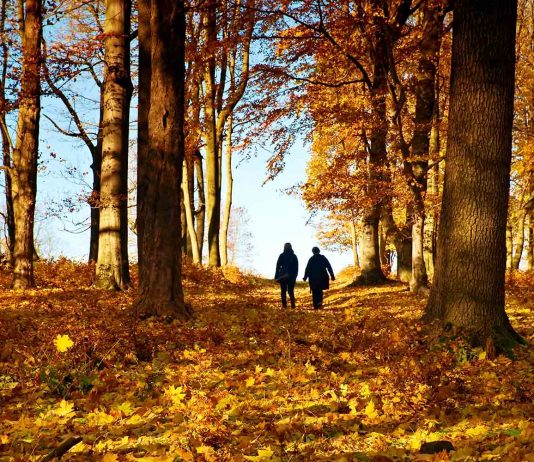 Autumn blues, cum sa depasesti tristetea tipica de toamna?
